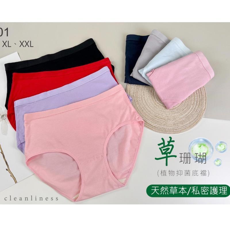 大尺碼棉質草珊瑚抗菌褲底素面內褲 中高腰 L/XL/XXL碼 201